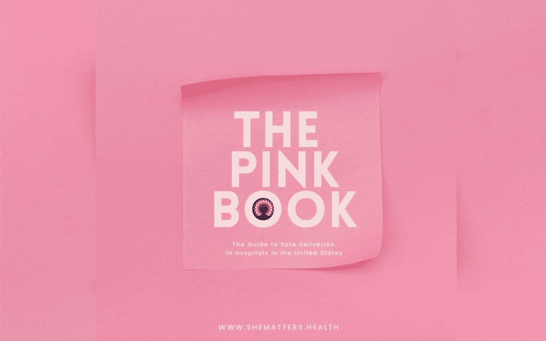 She Matters Launches ‘The Black Mothers’ Pink Book’